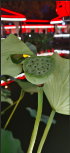 企业管理对财务的核心要求：企业人体发展模型解析-老板合规经营社区